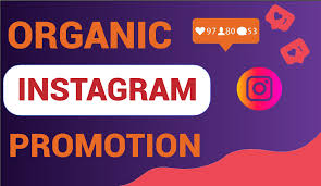 Best Instagram Promotion Companies for Organic-Looking Growth